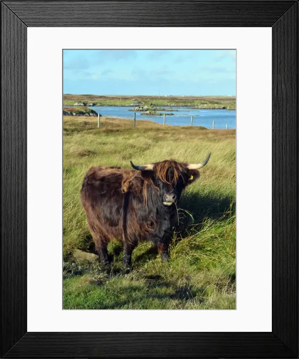 Framed Print : Picture No. 11981735 Framed Print : Picture No. 11981735