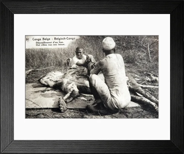 Framed Print : Picture No. 11981736 Framed Print : Picture No. 11981736