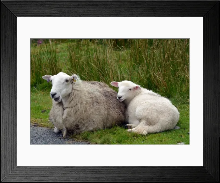 Framed Print : Picture No. 11981743 Framed Print : Picture No. 11981743