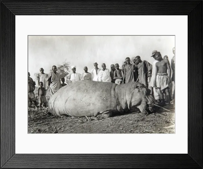 Framed Print : Picture No. 11981744 Framed Print : Picture No. 11981744