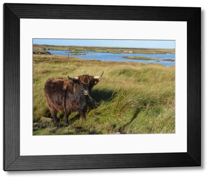 Framed Print : Picture No. 11981746 Framed Print : Picture No. 11981746