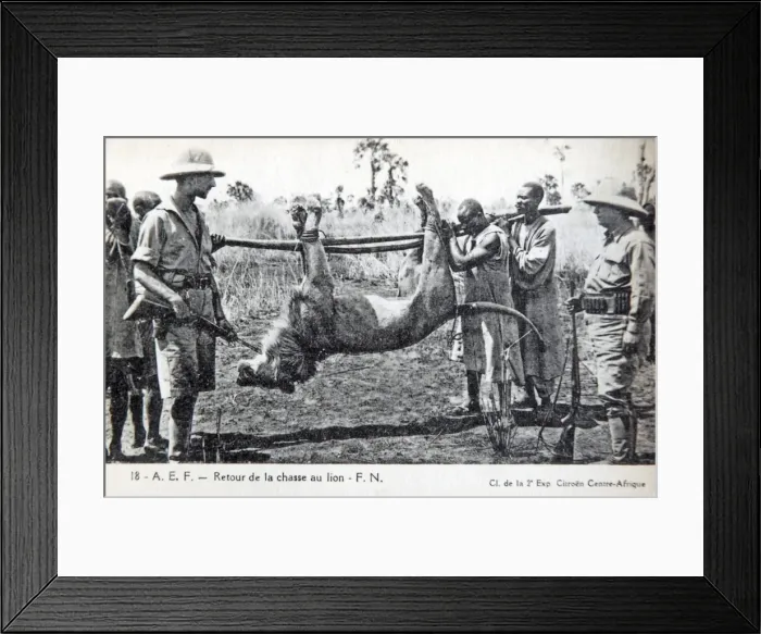 Framed Print : Picture No. 11981749