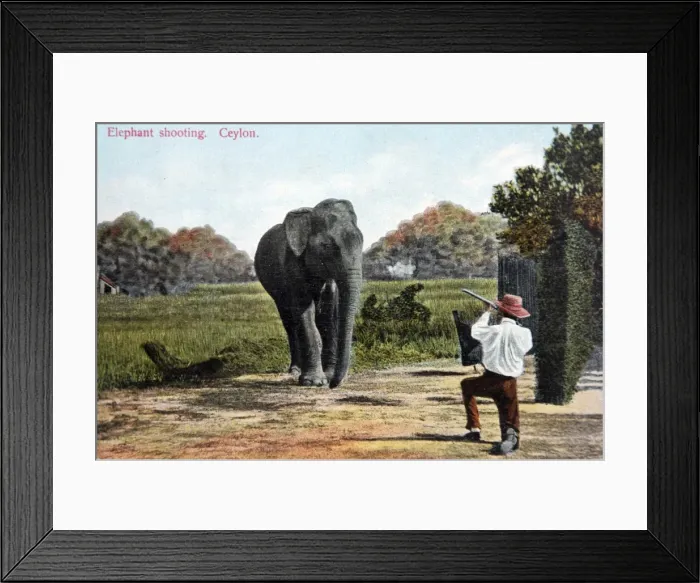 Framed Print : Picture No. 11981755