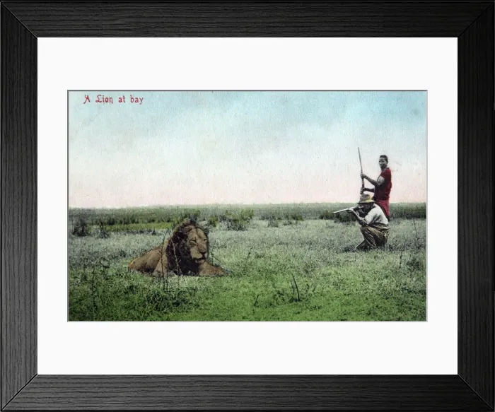 Framed Print : Picture No. 11981756 Framed Print : Picture No. 11981756
