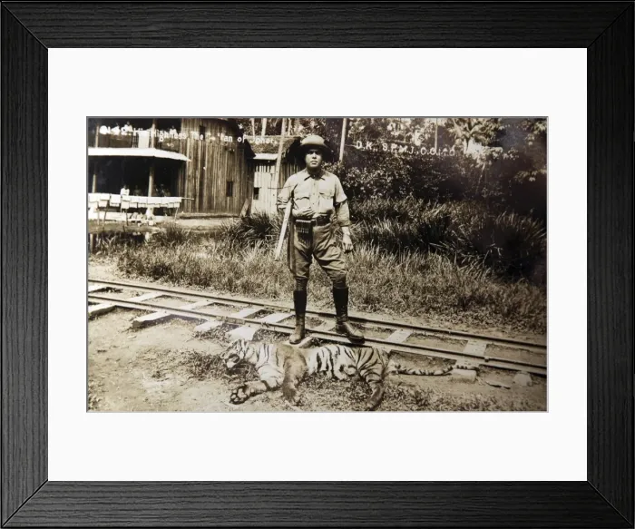 Framed Print : Picture No. 11981761 Framed Print : Picture No. 11981761