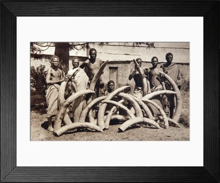 Framed Print : Picture No. 11981762