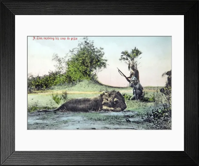 Framed Print : Picture No. 11981764 Framed Print : Picture No. 11981764