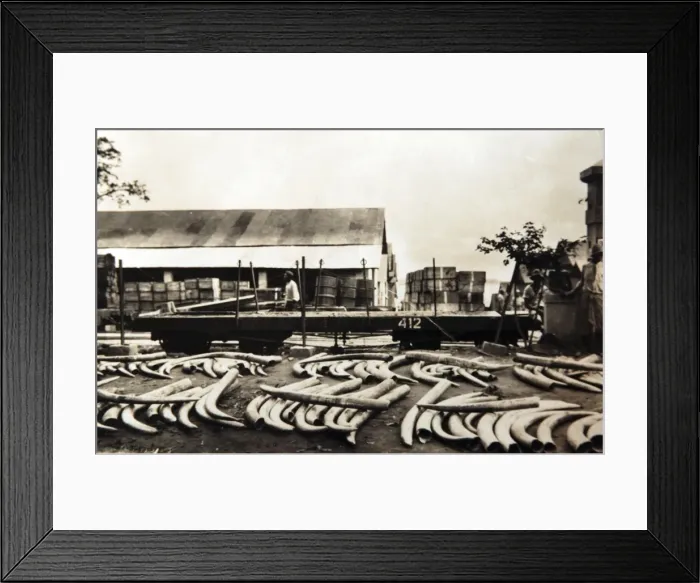 Framed Print : Picture No. 11981765 Framed Print : Picture No. 11981765