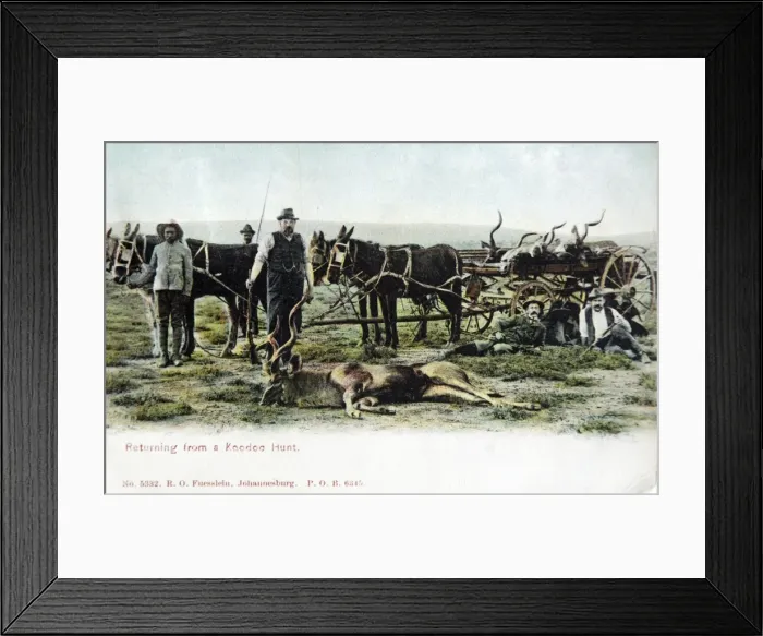 Framed Print : Picture No. 11981766