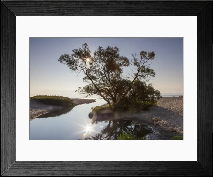 Framed Print : Picture No. 11980563