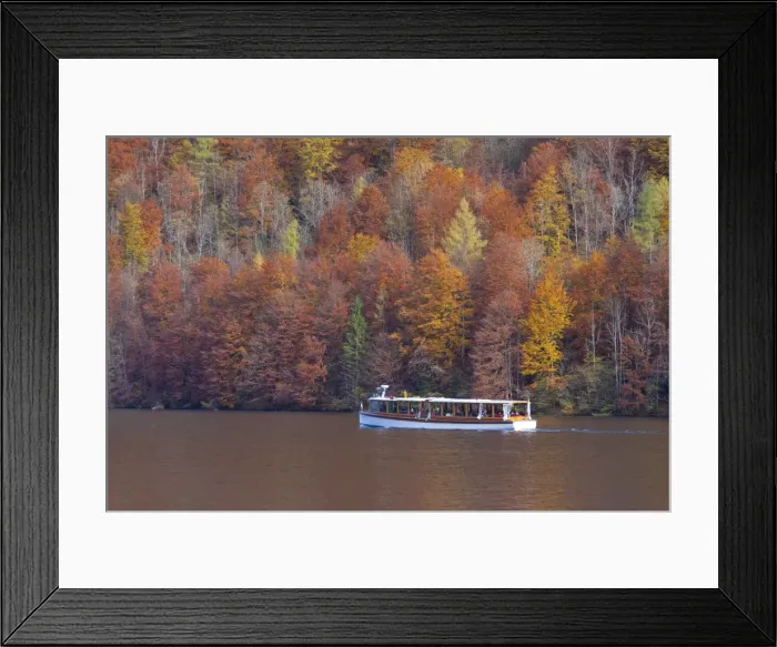 Framed Print : Picture No. 11980578
