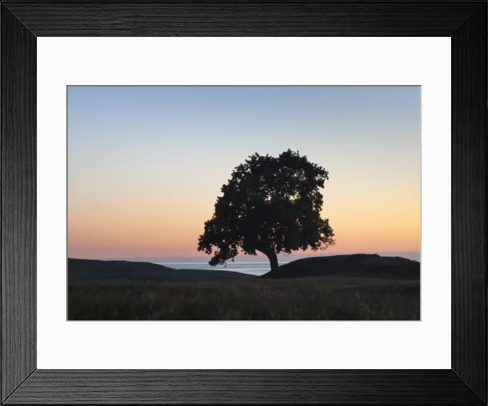 Framed Print : Picture No. 11980586 Framed Print : Picture No. 11980586