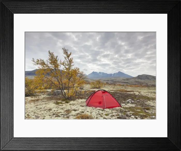 Framed Print : Picture No. 11980589