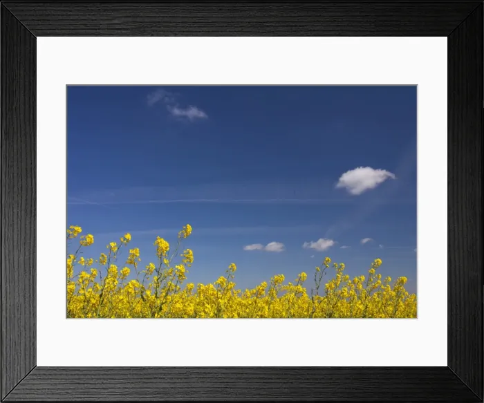 Framed Print : Picture No. 11980610 Framed Print : Picture No. 11980610