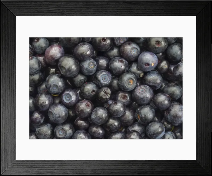 Framed Print : Picture No. 11980614