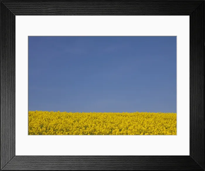 Framed Print : Picture No. 11980620 Framed Print : Picture No. 11980620