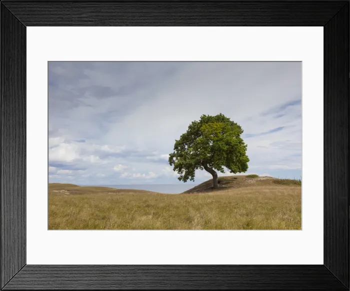 Framed Print : Picture No. 11980629 Framed Print : Picture No. 11980629
