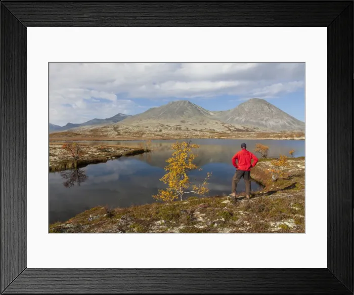 Framed Print : Picture No. 11980632