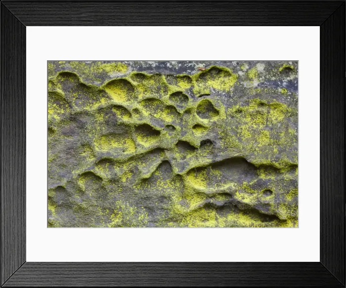 Framed Print : Picture No. 11980635