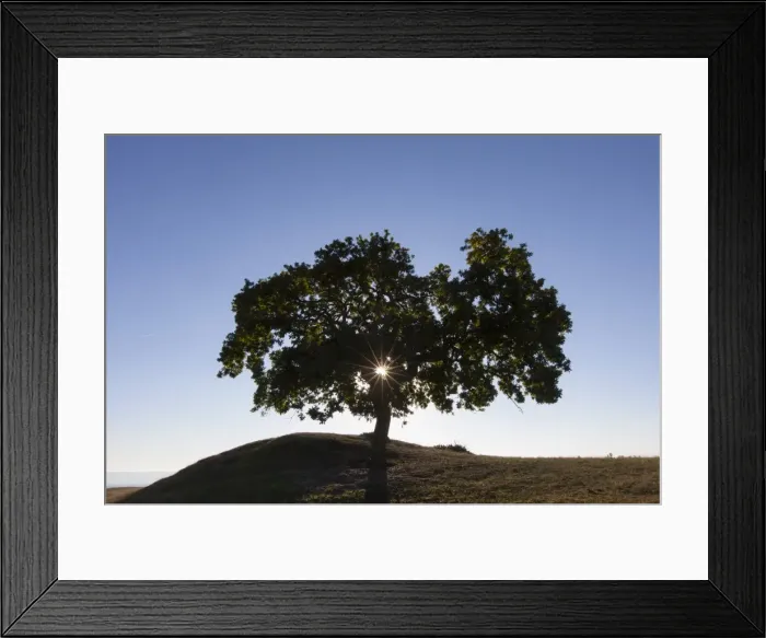 Framed Print : Picture No. 11980636