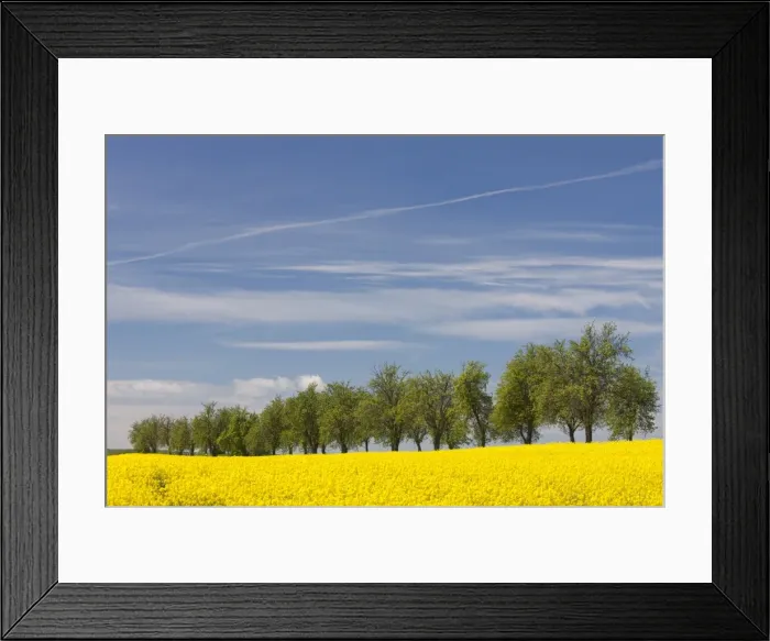 Framed Print : Picture No. 11980648 Framed Print : Picture No. 11980648