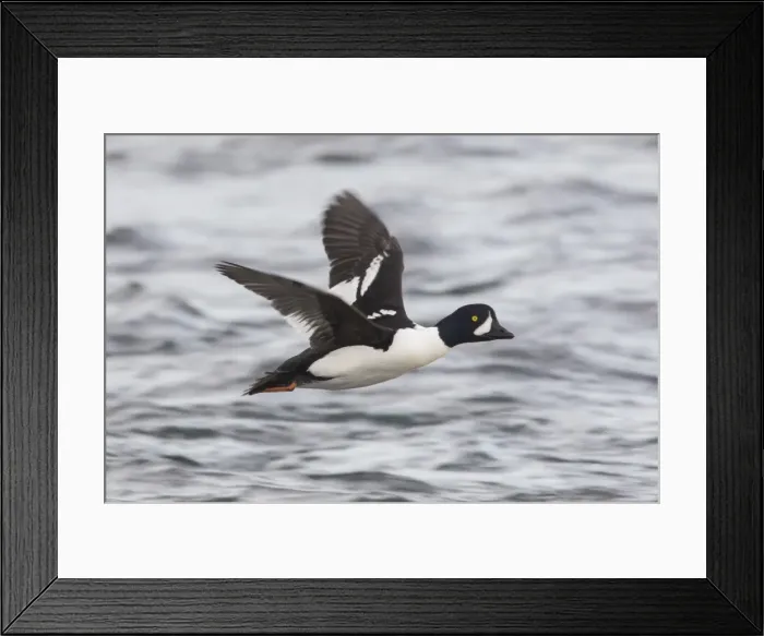 Framed Print : Picture No. 11980650 Framed Print : Picture No. 11980650