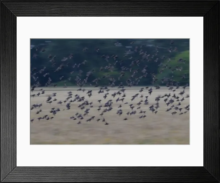 Framed Print : Picture No. 11981786 Framed Print : Picture No. 11981786