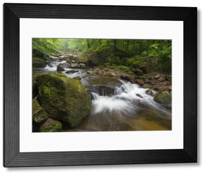 Framed Print : Picture No. 11981791 Framed Print : Picture No. 11981791