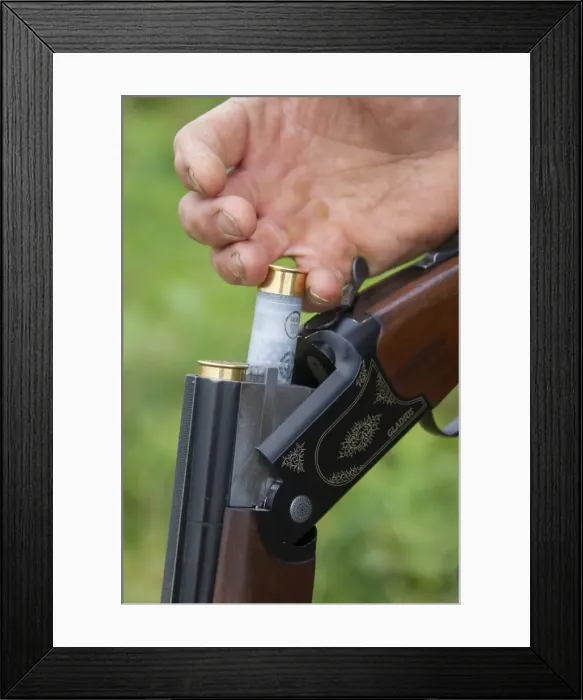 Framed Print : Picture No. 11981794