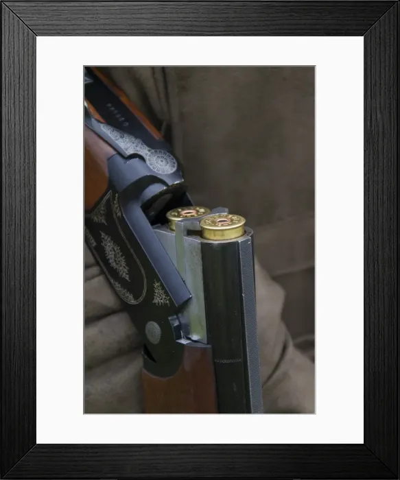 Framed Print : Picture No. 11981796 Framed Print : Picture No. 11981796
