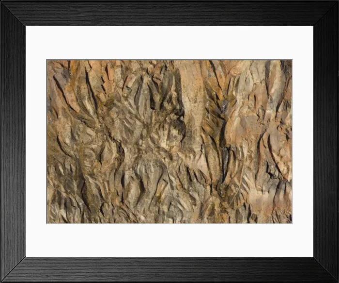 Framed Print : Picture No. 11982032 Framed Print : Picture No. 11982032