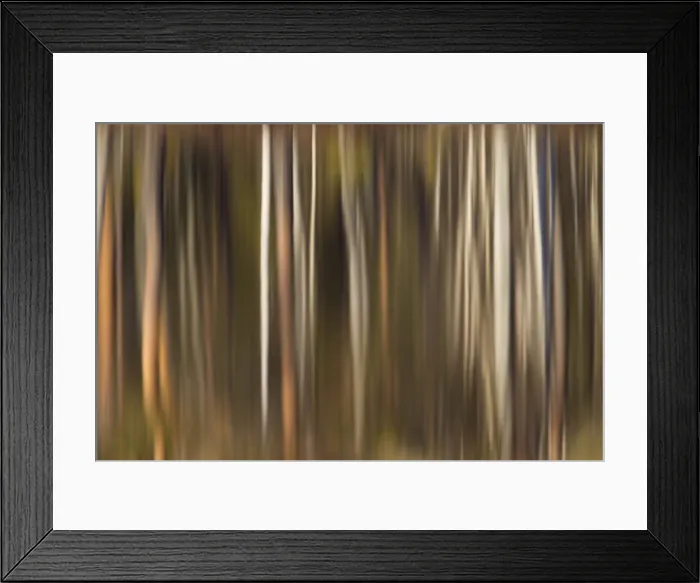 Framed Print : Picture No. 11982066 Framed Print : Picture No. 11982066