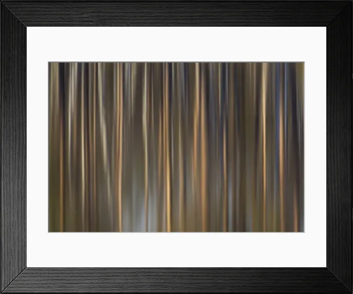 Framed Print : Picture No. 11982067 Framed Print : Picture No. 11982067