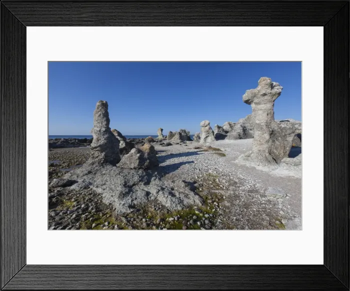 Framed Print : Picture No. 11982085
