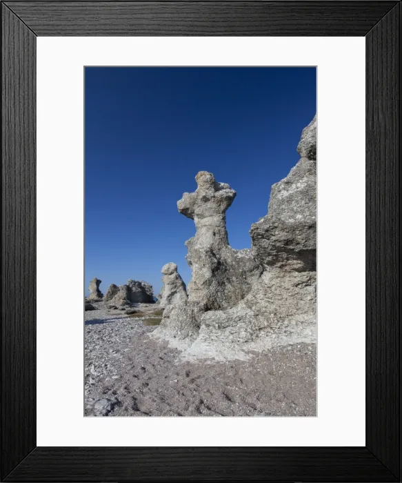 Framed Print : Picture No. 11982086