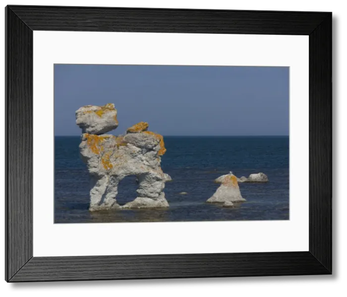 Framed Print : Picture No. 11982087 Framed Print : Picture No. 11982087