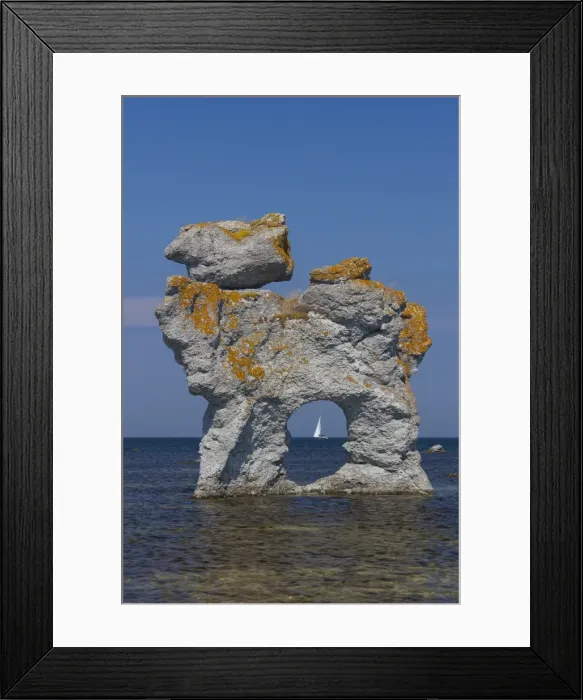 Framed Print : Picture No. 11982088