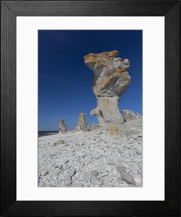 Framed Print : Picture No. 11982114