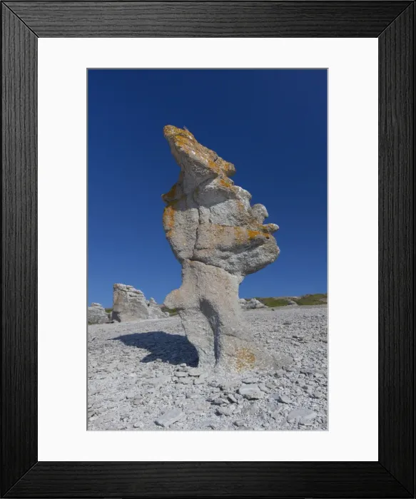 Framed Print : Picture No. 11982115 Framed Print : Picture No. 11982115