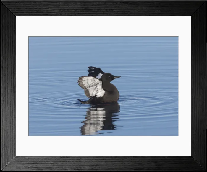 Framed Print : Picture No. 11982138 Framed Print : Picture No. 11982138