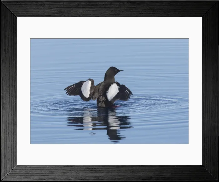 Framed Print : Picture No. 11982139 Framed Print : Picture No. 11982139
