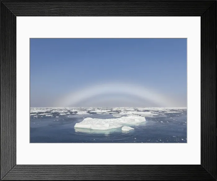 Framed Print : Picture No. 11982157 Framed Print : Picture No. 11982157