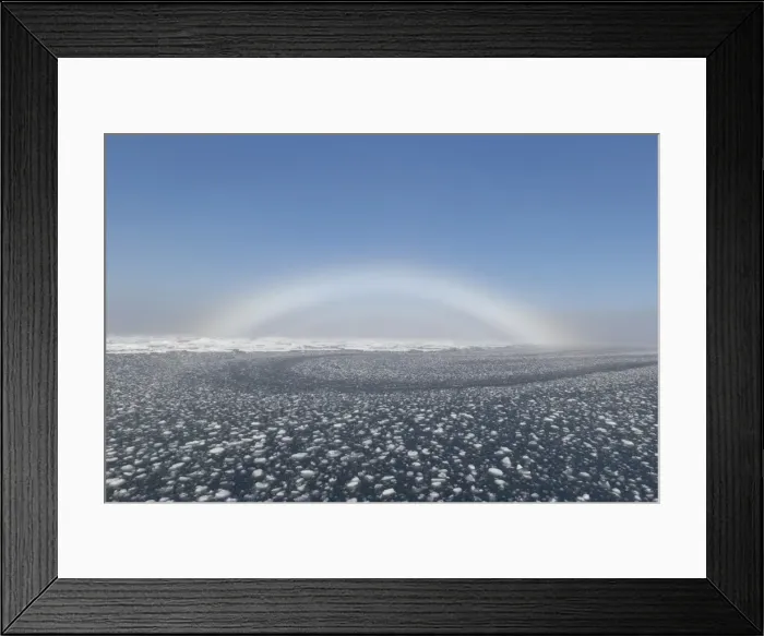 Framed Print : Picture No. 11982159 Framed Print : Picture No. 11982159