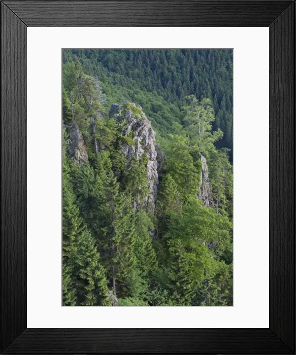 Framed Print : Picture No. 11982162 Framed Print : Picture No. 11982162