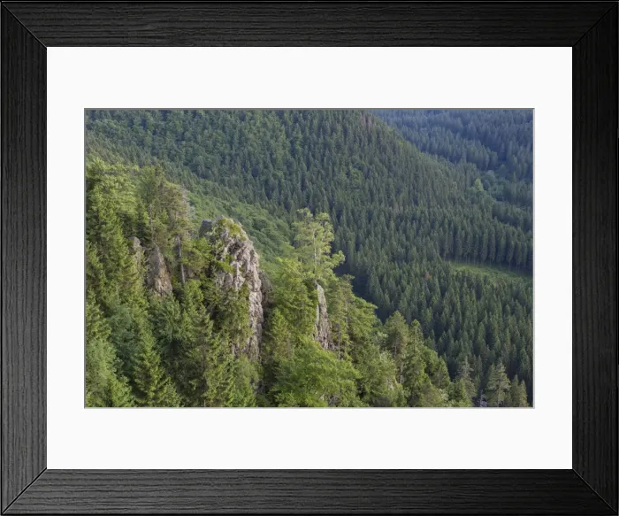 Framed Print : Picture No. 11982163