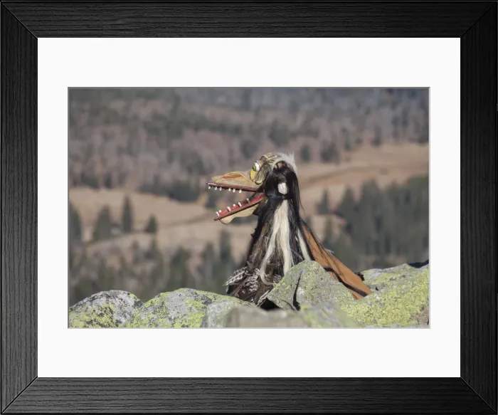 Framed Print : Picture No. 11982164 Framed Print : Picture No. 11982164