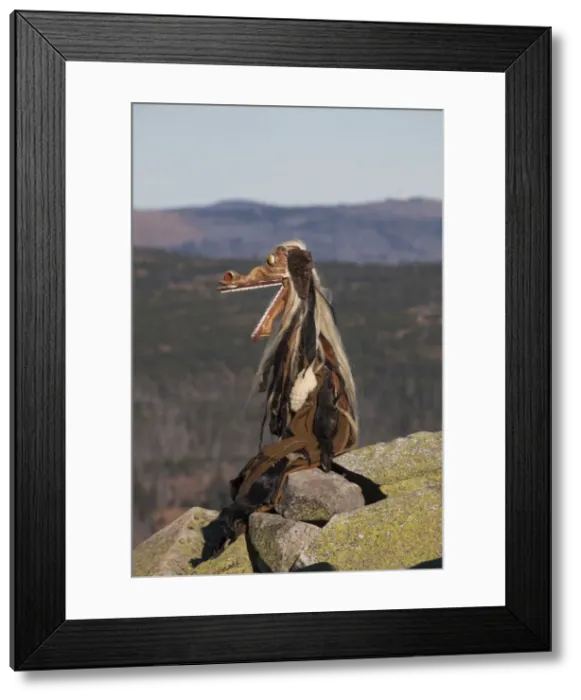 Framed Print : Picture No. 11982165 Framed Print : Picture No. 11982165