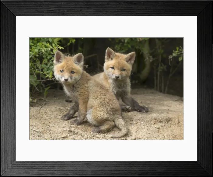 Framed Print : Picture No. 11982175 Framed Print : Picture No. 11982175