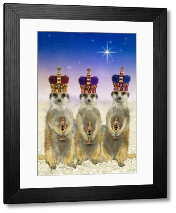 Framed Print : Picture No. 11982411 Framed Print : Picture No. 11982411