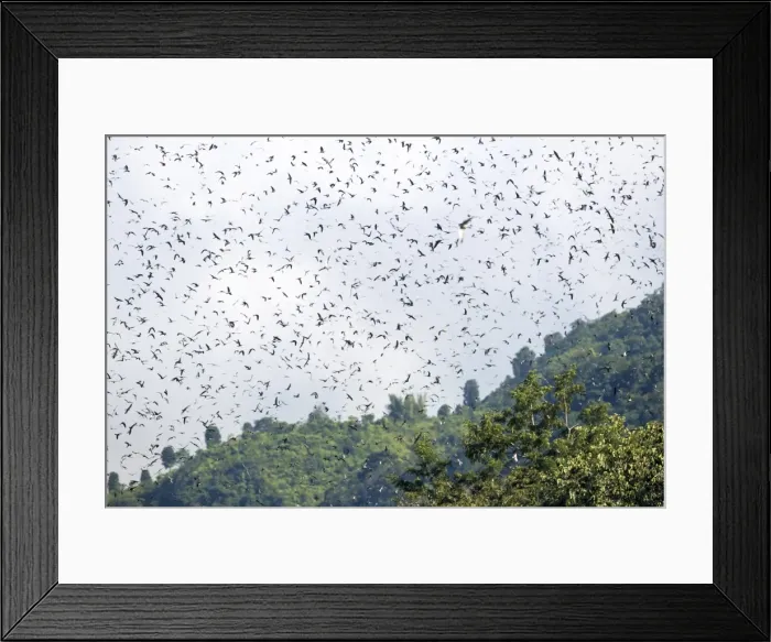 Framed Print : Picture No. 11981324 Framed Print : Picture No. 11981324